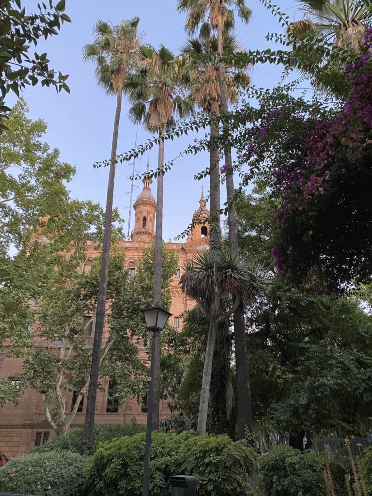 The back of the Plaza de Espana through the palm trees