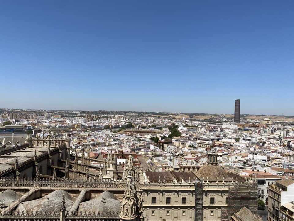 Another view of the town from the bell tower of the Cathedral of Sevilla